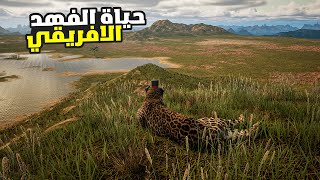 حياة الاسود #5 الفهد يهجم على قطيع الثيران 🔥 Animalia Survival