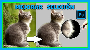 como RECORTAR una IMAGEN en PHOTOSHOP / MEJORA la SELECCIÓN