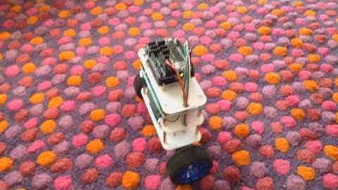 Balancing Robot Protecting Arduino
