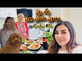                                                                   نجومي