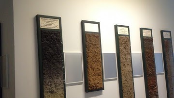 Cross Section Soil Layer (Part 2)