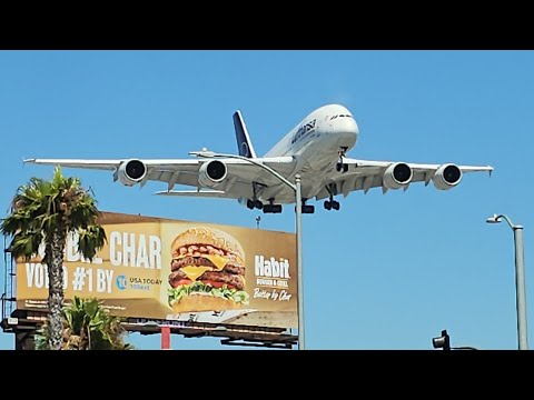 LIVE A380 747 Close #Planespotting |LAX Airport| Saturday July 19, 2025