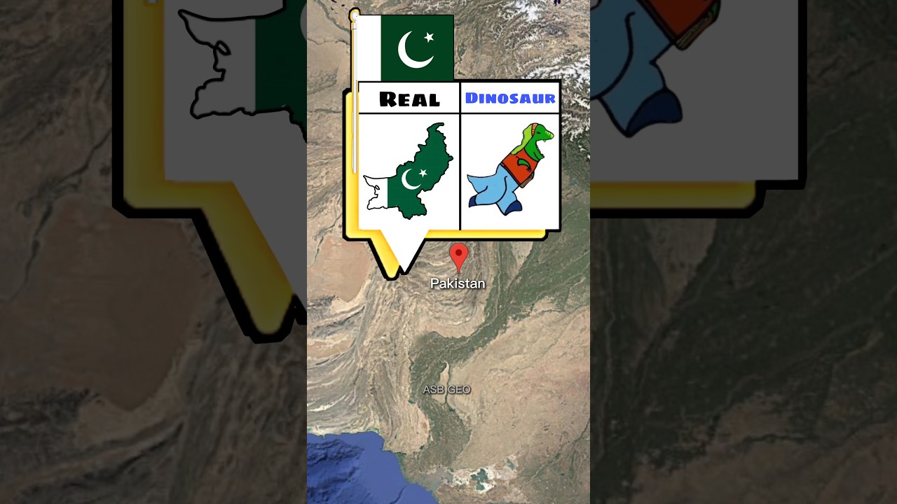 10 Countries 10 Maps That Look like Picture #shorts
