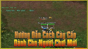 Hường Dẫn Cày Cấp Và Cách Chơi Game Võ Lâm Truyền Kỳ 1 PC Dành Cho Người Mới Chơi Game VLTK 1