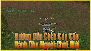 Hường Dẫn Cày Cấp Và Cách Chơi Game Võ Lâm Truyền Kỳ 1 PC Dành Cho Người Mới Chơi Game VLTK 1