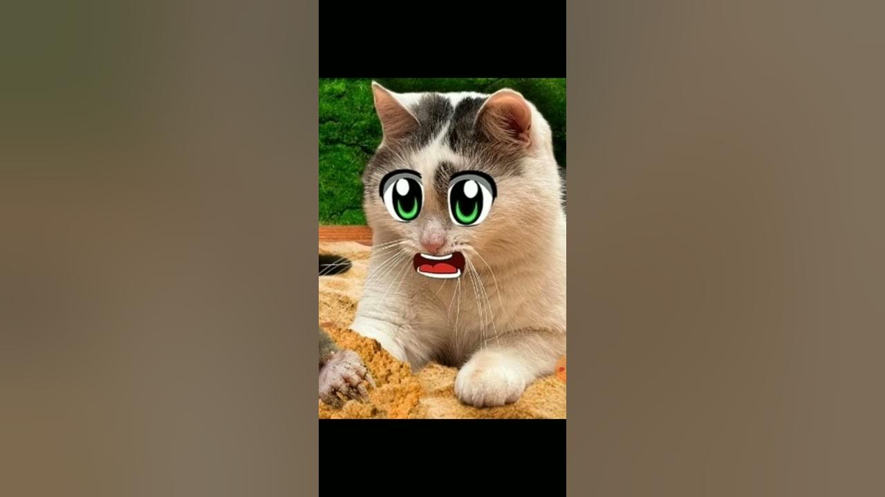 раскраска анука давайка. анука давайка коты воители 2 часть. анука давайка новые 2024 года. анука давайка. анука давайка новые 2024 года.