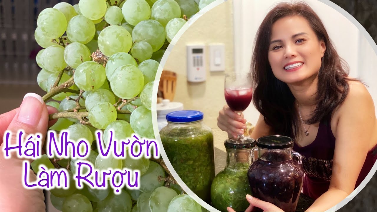Cách Làm Rượu Nho Siêu Dễ Tại Nhà - YouTube