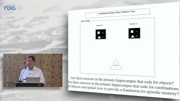 Edmund Rolls - The operation of memory systems in the cortex - Part 1