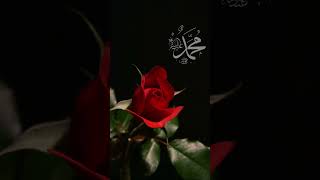 Hayırlı Cumalar Ey Ahali🤲🙏 Resimi