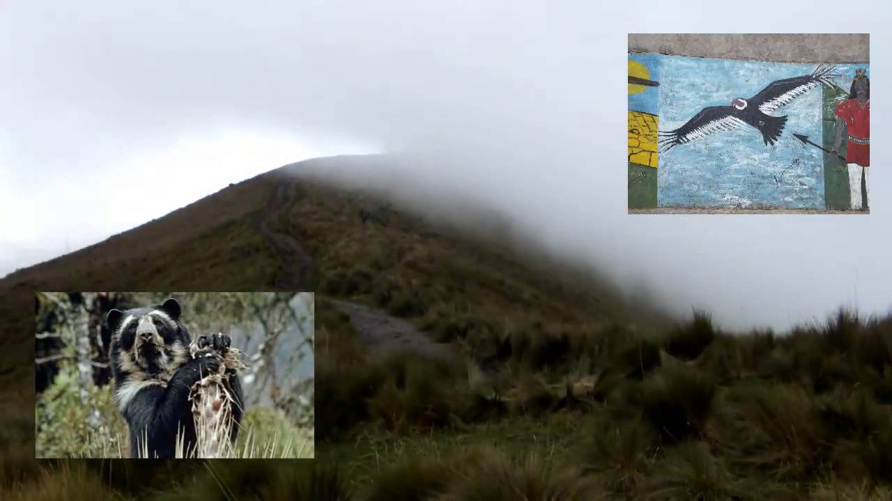 Payments for Ecosystem Services Scifund Video