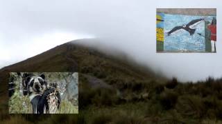 Payments for Ecosystem Services Scifund Video