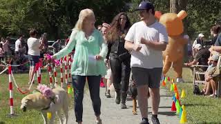Puppies & Pooches On Parade! 2025