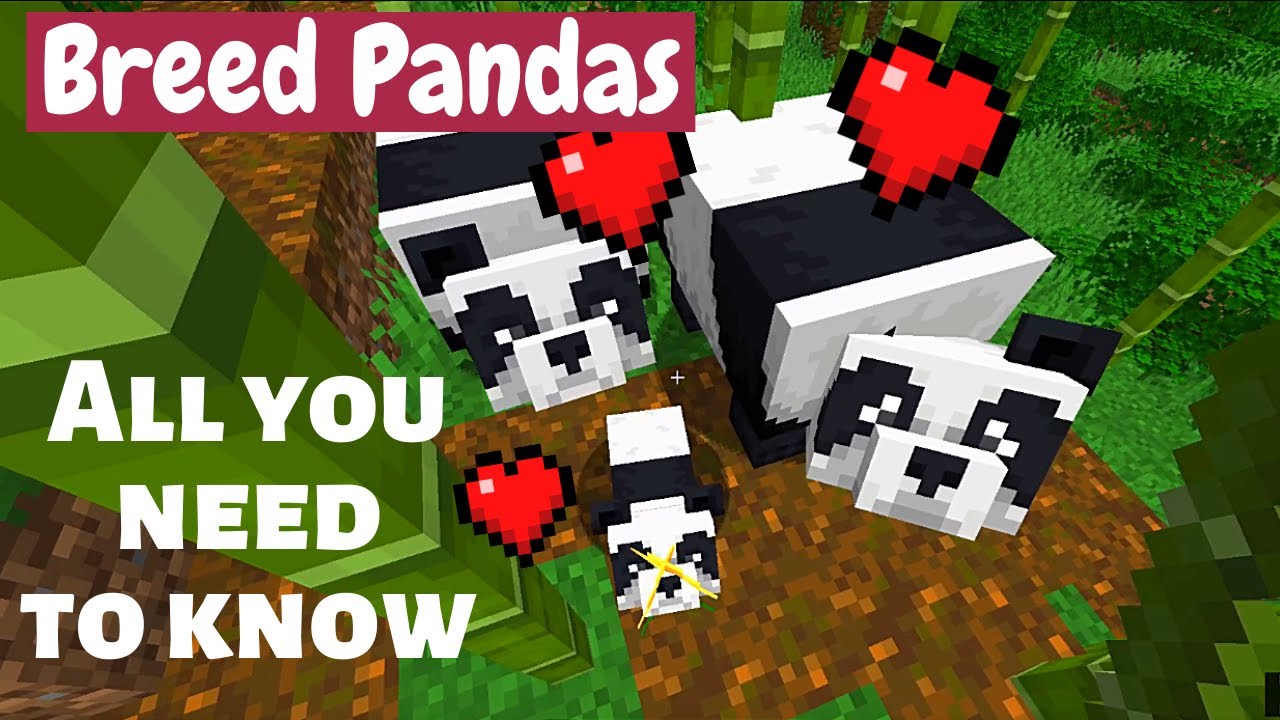 How to Breed Pandas in Minecraft and Get all Varieties - YouTube