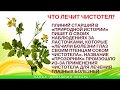 Что лечит чистотел?  - Домашний лекарь - выпуск №64