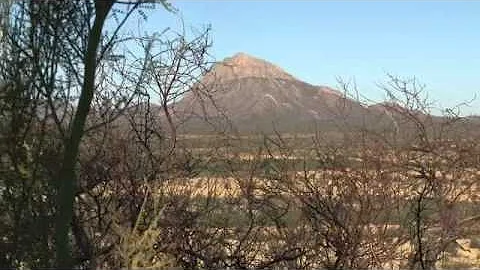 Sonora Mexico Monster Mule Deer Part 2 Seg 2