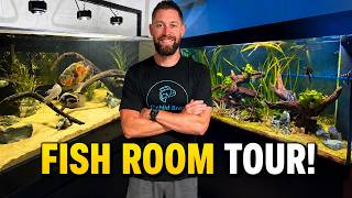 All of My Aquariums & Fish! (Massive Fish Room Tour 2026)