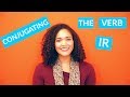 Regular French Verbs ending in -ER and -IR - YouTube