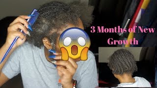 Taking Down 3 Month Old Braids Gone Wrong 6 Hours?