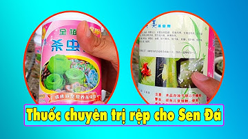 MUA LOẠI NÀY VỀ TRỊ RỆP CHO SEN ĐÁ MỚI HẾT ĐƯỢC