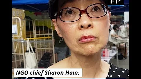 NGO chief Sharon Hom on why Hongkongers should build one movement with mainland activists - DayDayNews