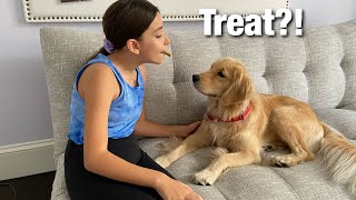 Feeding My Dog By My Mouth Challenge