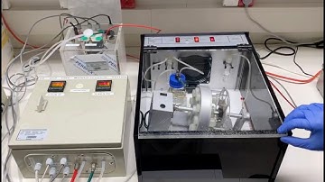 Ex utero Mouse Embryogenesis from Pre-Gastrulation to Late Organogenesis - Jacob Hanna Lab
