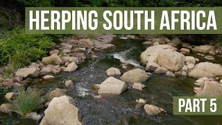Herping South Africa Part 5 - Durban