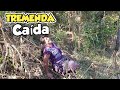 Estamos bajando y Comiendo Naranjas / Nuevos videos de la vida del Campo