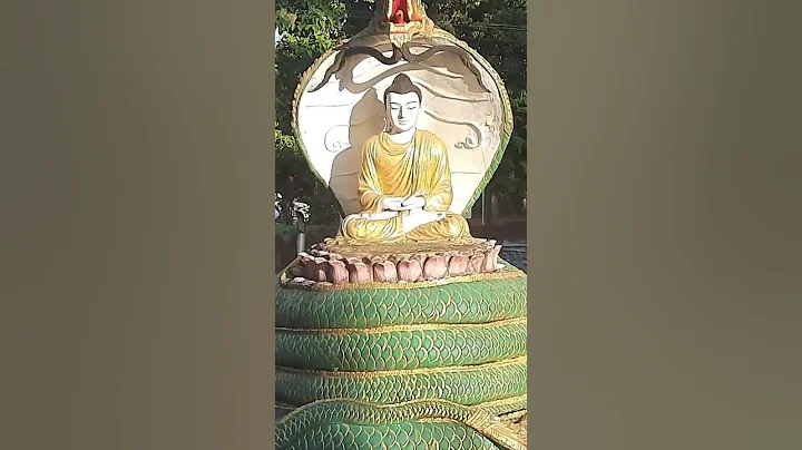 Budhang Charanang Gochami #shorts Golden Pagoda, Chowkham - DayDayNews