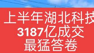 2025上半年最猛科技答卷！湖北3187亿成交额背后，45家实验室藏着多少未来？#科技 #湖北 #实验室