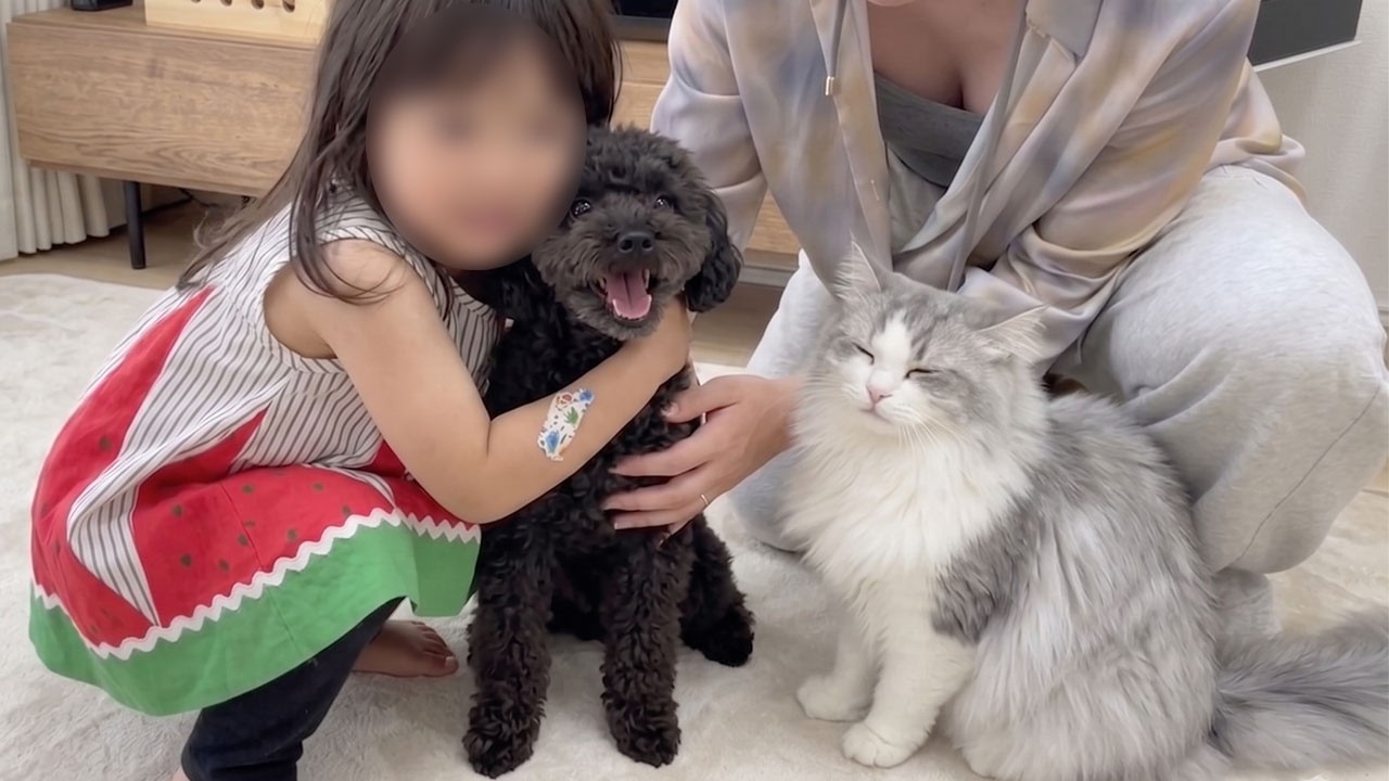 Check out this 2-year-old girl, dog, and kitten playing just like