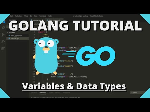 Golang Tutorial #2 - Variables & Data Types