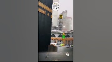 الشيخ/ سلطان بن عبدالله العمري - ماتيسر من سورة الأحزاب