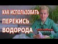 Рассада и перекись водорода. Как правильно использовать перекись водорода для рассады.