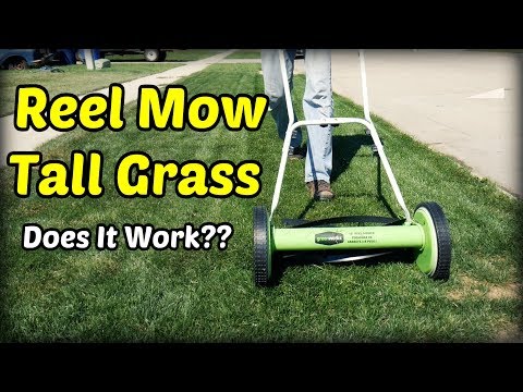 Reel Mowing Tall Grass? 