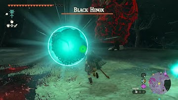 Zelda TotK - On Demand Bullet Time & Spear Testing on a Poor Black Hinox