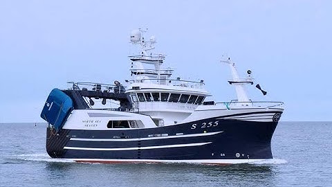 North Sea - Onboard shrimp factory line