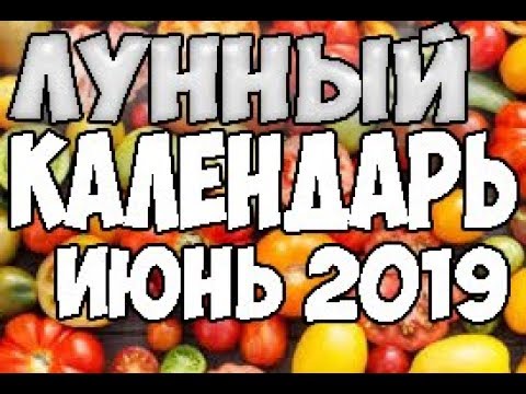 ЛУННЫЙ КАЛЕНДАРЬ.БЛАГОПРИЯТНЫЕ ДНИ ДЛЯ ПОСАДКИ ИЮНЬ 2019!!!