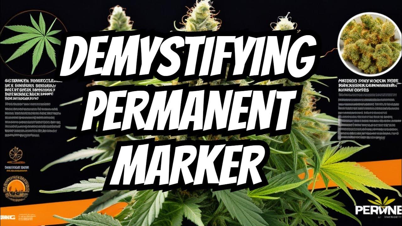 Leafly Cannabis Strain of the Year Permanent Marker Overview YouTube