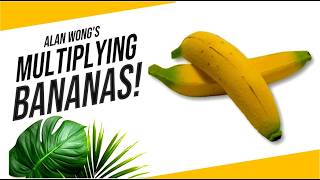MM378 Bananas