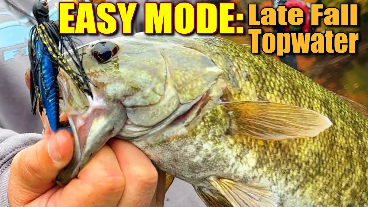 Finesse Topwater SECRET for Late Fall Bass Fishing