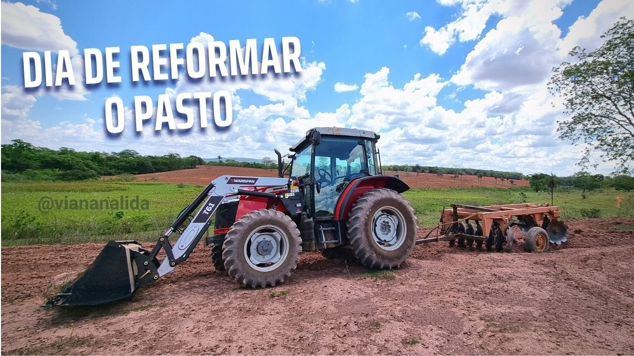 REFORMANDO UMA PEQUENA ÁREA DE PASTAGEM. GRADAO 14 X 28 TRABALHANDO NO MF 4708.