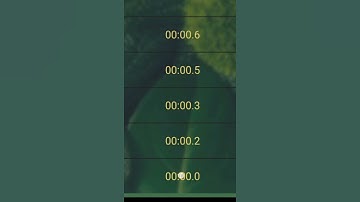 how did it count 0 microseconds