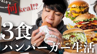 【アメリカ食】1日3食を規格外のハンバーガーを頼んだらとんでもないものが出てきた!