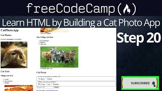 Learn HTML by Building a Cat Photo App - Step20 screenshot 5