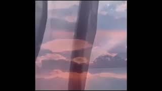 نامي اذا ياروح من شارة احلام كبيرة غناء حلا طراد