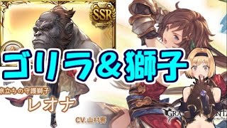 レオナとゴリランダー編成は共存出来るのか？【グラブル】