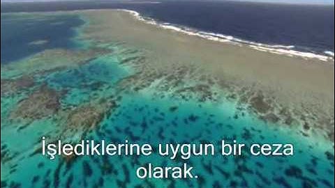 Nebe (amme) Suresi Ebu Bekir eş-Şatiri