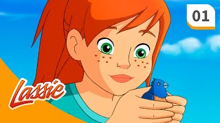 Lassie - Season 1 - Episode 1 - Saving Zuli! - FULL EPISODE