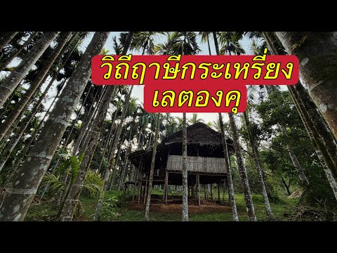 สัมผัสวิถีชีวิตของฤาษีชาวกระเหรี่ยงเลตองคุ ในเขตป่ามรดกโลกอุทธยานทุ่งใหญ่นเรศวร#กระเหรี่ยง #r1200gsa